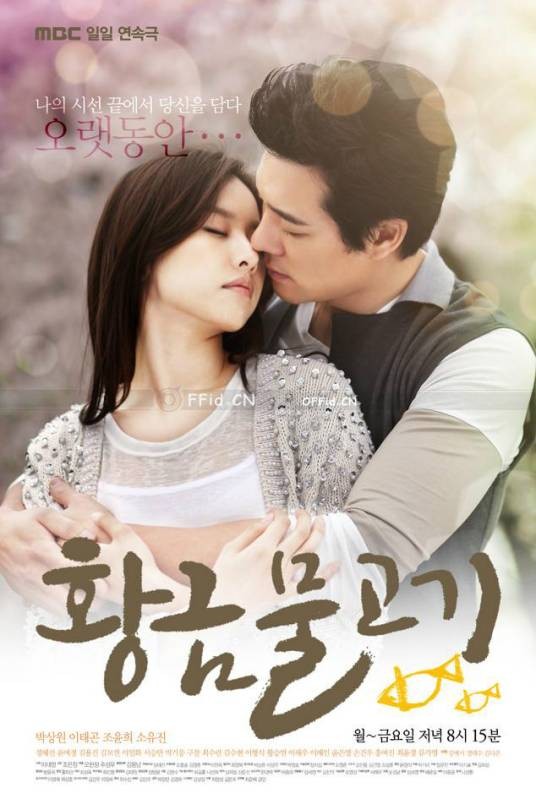 黄金鱼（韩国2010年吴贤昌执导的家庭伦理剧）