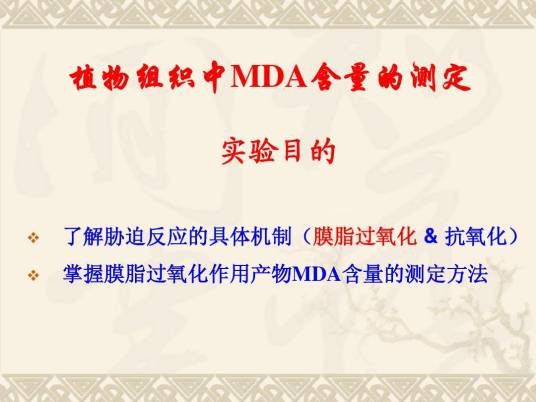 MDA实验