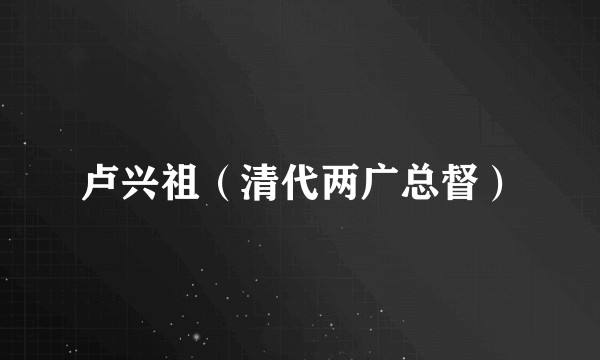 卢兴祖（清代两广总督）