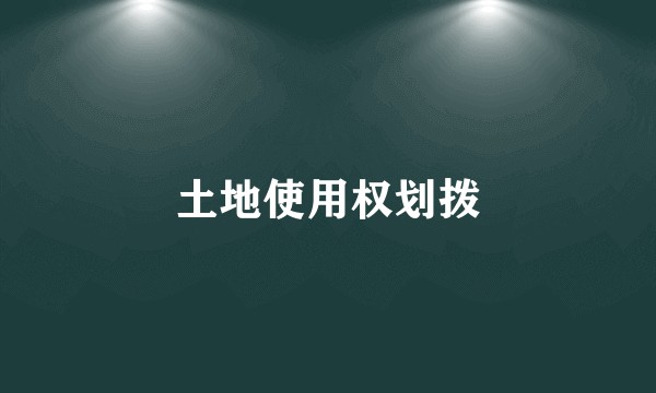 土地使用权划拨
