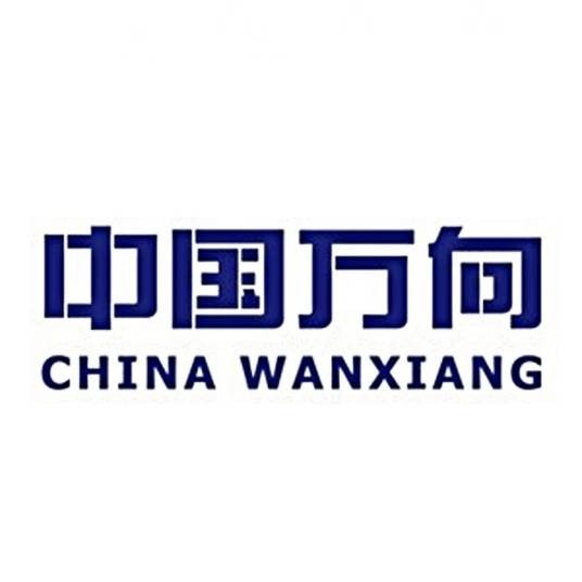 中国万向控股有限公司