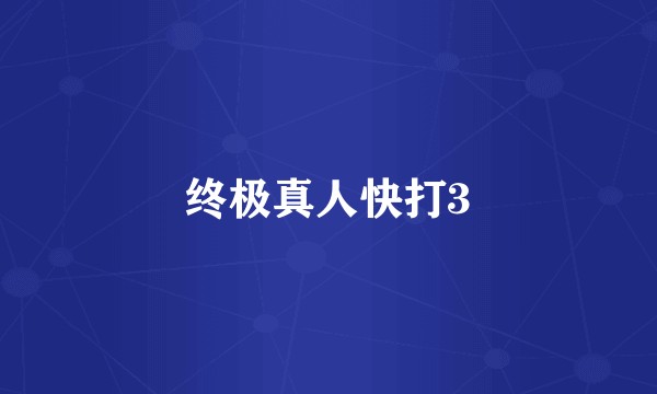 终极真人快打3