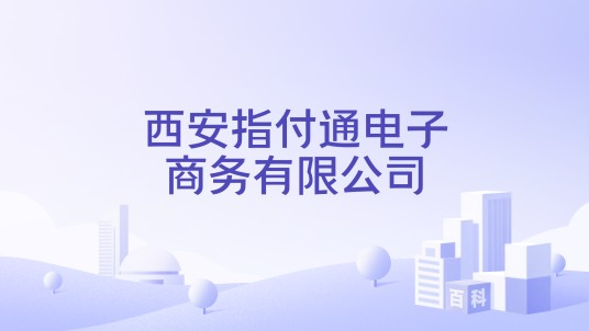 西安指付通电子商务有限公司