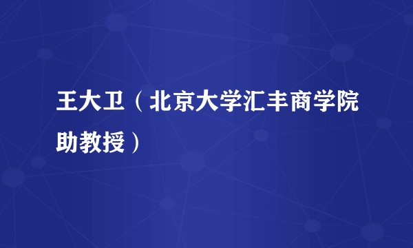 王大卫（北京大学汇丰商学院助教授）