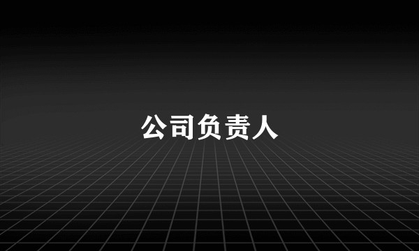 公司负责人