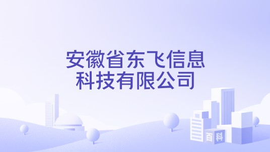 安徽省东飞信息科技有限公司
