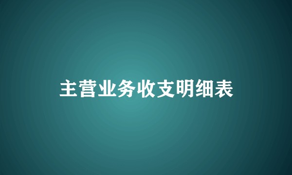 主营业务收支明细表