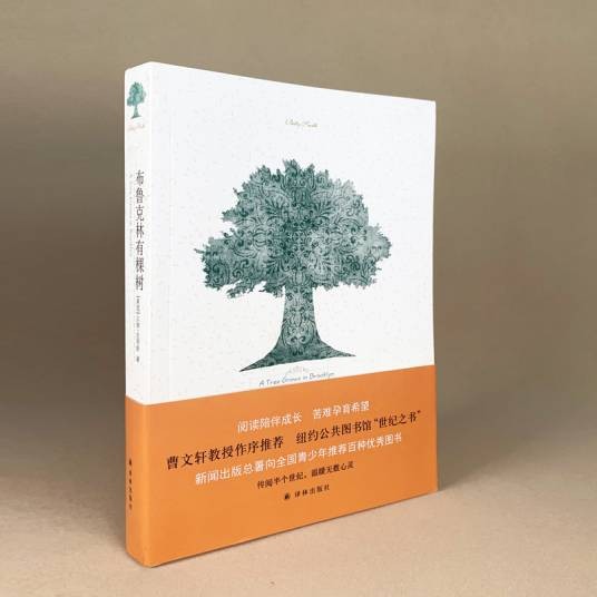 布鲁克林有棵树（美国贝蒂·史密斯创作的长篇小说）