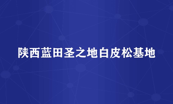 陕西蓝田圣之地白皮松基地