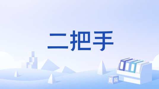 二把手（四川方言术语）
