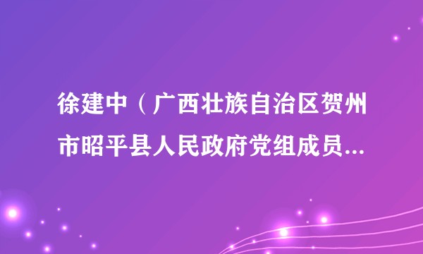 徐建中（广西壮族自治区贺州市昭平县人民政府党组成员、副县长）