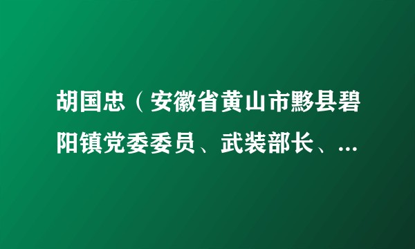 胡国忠（安徽省黄山市黟县碧阳镇党委委员、武装部长、政法委员）