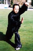 太极螳螂拳(中国传统武术拳法)