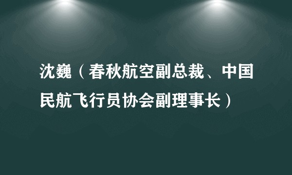 沈巍（春秋航空副总裁、中国民航飞行员协会副理事长）