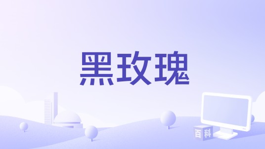 黑玫瑰（1950年亨利·哈撒韦执导的电影）