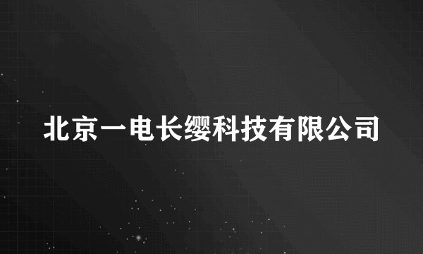 北京一电长缨科技有限公司