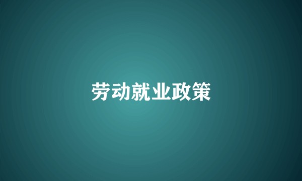 劳动就业政策
