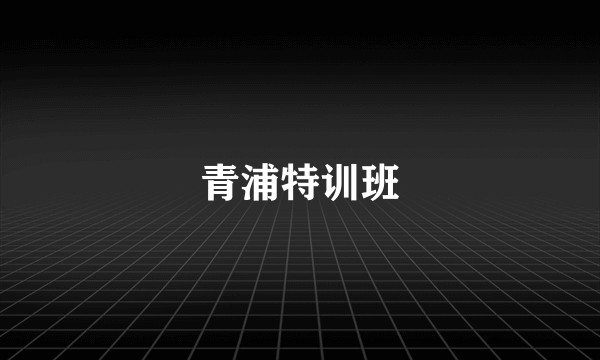 青浦特训班