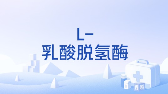 L-乳酸脱氢酶