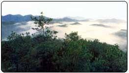 大雾岭自然保护区
