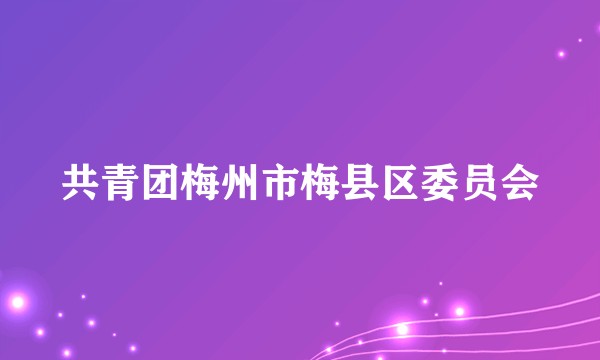 共青团梅州市梅县区委员会