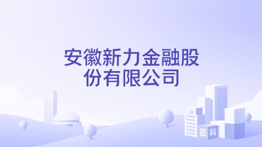 安徽新力金融股份有限公司