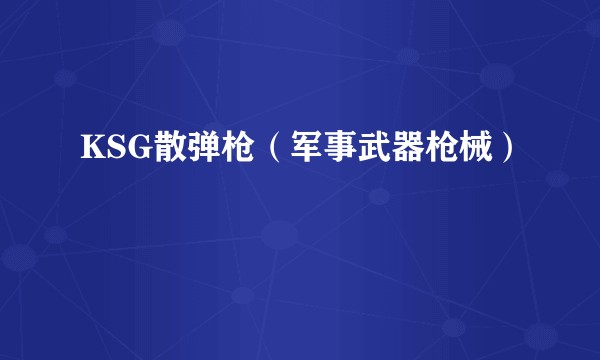 KSG散弹枪（军事武器枪械）
