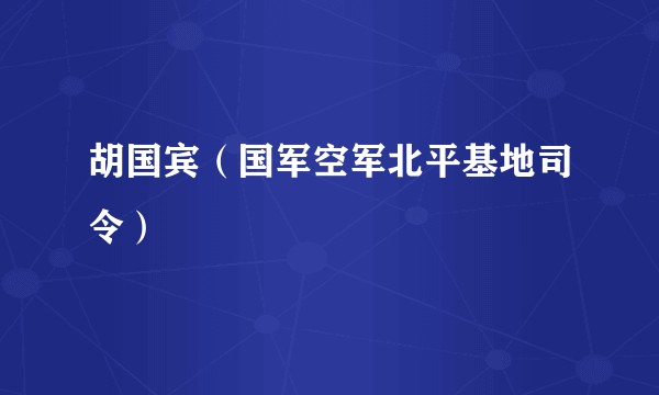 胡国宾（国军空军北平基地司令）