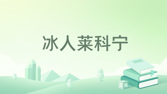 冰人莱科宁