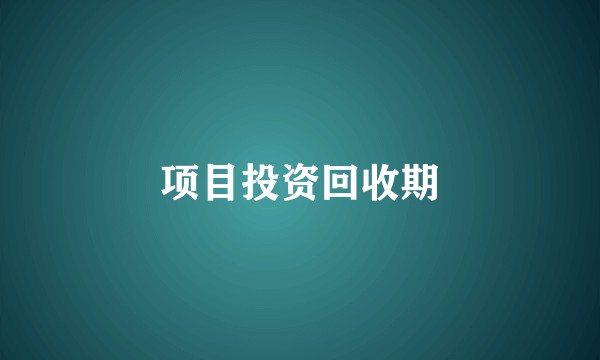 项目投资回收期