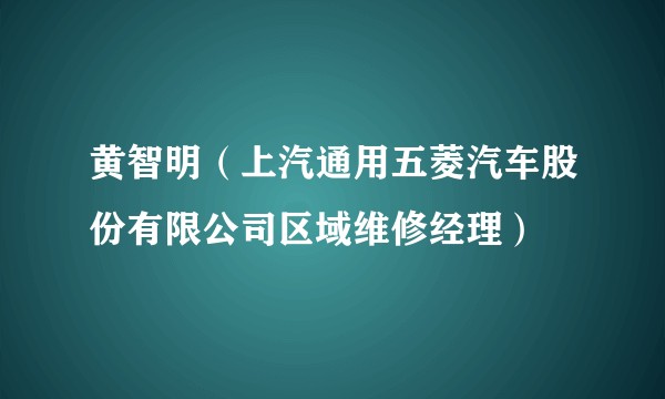 黄智明（上汽通用五菱汽车股份有限公司区域维修经理）
