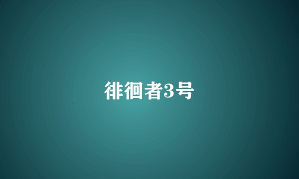 徘徊者3号