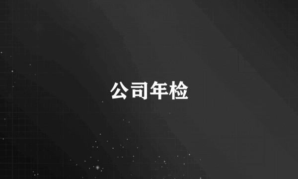 公司年检