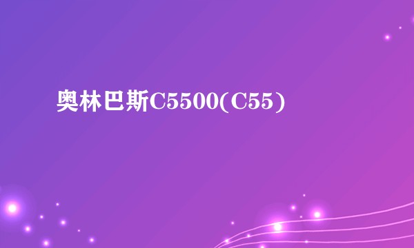 奥林巴斯C5500(C55)