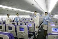 空中乘务员（职业）