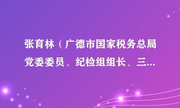 张育林（广德市国家税务总局党委委员、纪检组组长、三级主办）