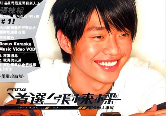 当你孤单你会想起谁（2004年张栋梁演唱的歌曲）