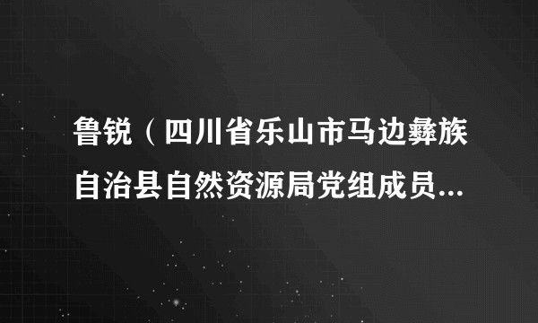 鲁锐（四川省乐山市马边彝族自治县自然资源局党组成员、副局长）
