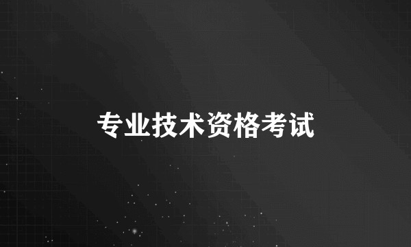 专业技术资格考试