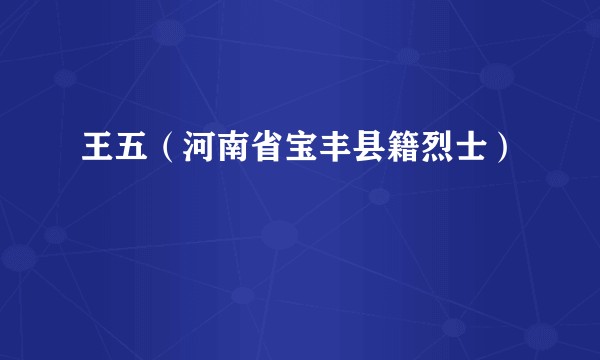 王五（河南省宝丰县籍烈士）