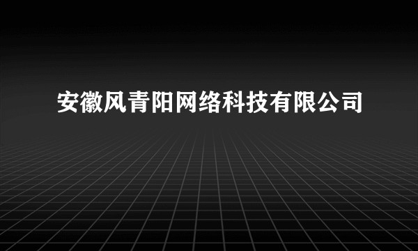 安徽风青阳网络科技有限公司