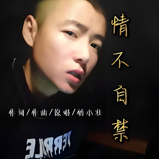 情不自禁（杨小壮演唱的歌曲）