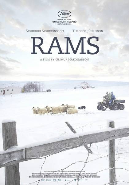 公羊(冰岛、丹麦、挪威、波兰2015年上映电影)