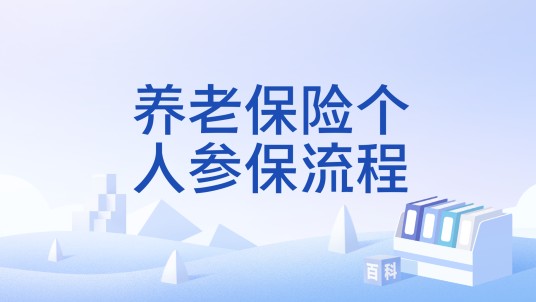 养老保险个人参保流程