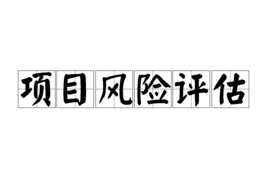 项目风险评估