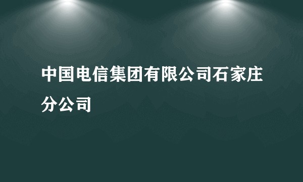 中国电信集团有限公司石家庄分公司