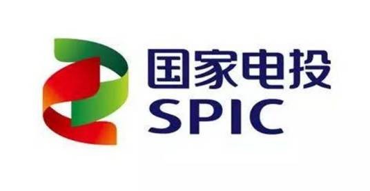 国核示范电站有限责任公司