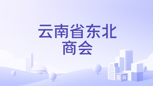 云南省东北商会
