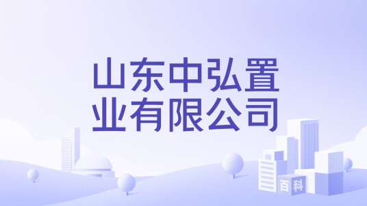 山东中弘置业有限公司
