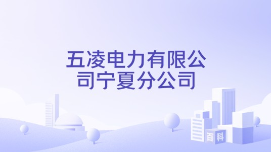 五凌电力有限公司宁夏分公司